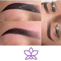 Diseños de Cejas y Pestañas 