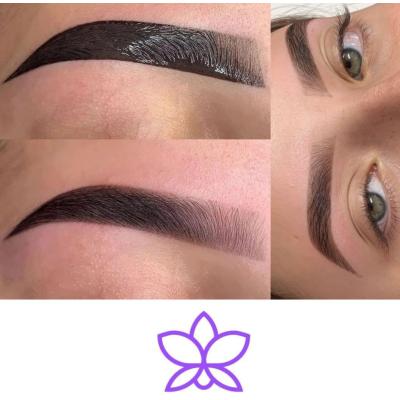 Diseños de Cejas y Pestañas 