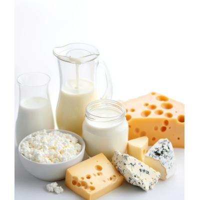 Lácteos (Quesos, Yogurt, Mantequilla, Leche)