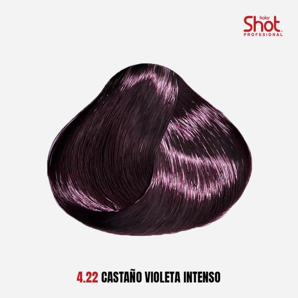 4.22 castaño violeta intenso