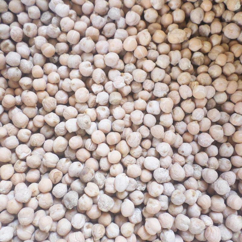 Garbanzos (1 lb)