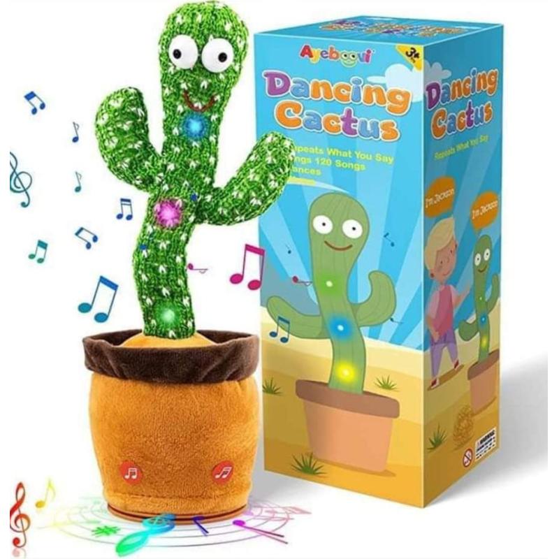 Cactus Bailarin 