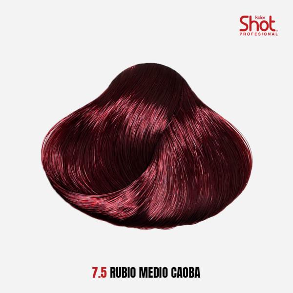 7.5 Rubio medio caoba