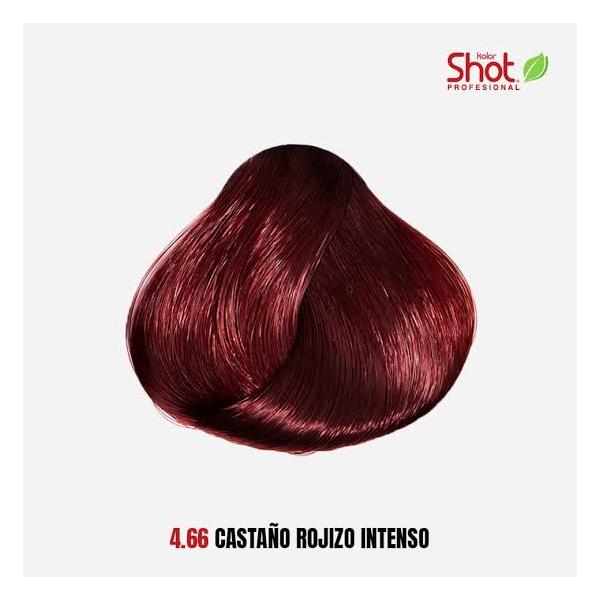 4.66 Castaño Rojizo Intenso