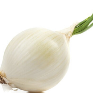 Cebolla Blanca 1 U