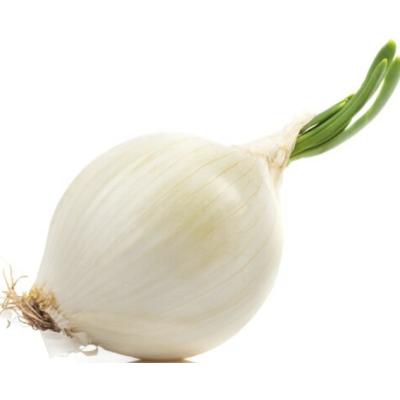 Cebolla Blanca 1 U