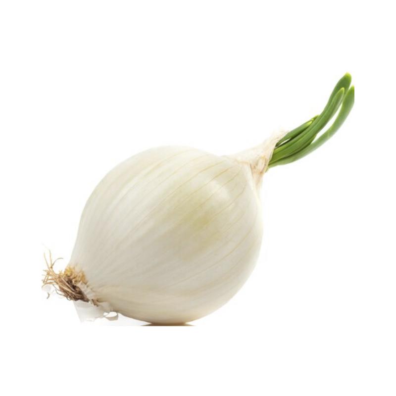 Cebolla Blanca 1 U