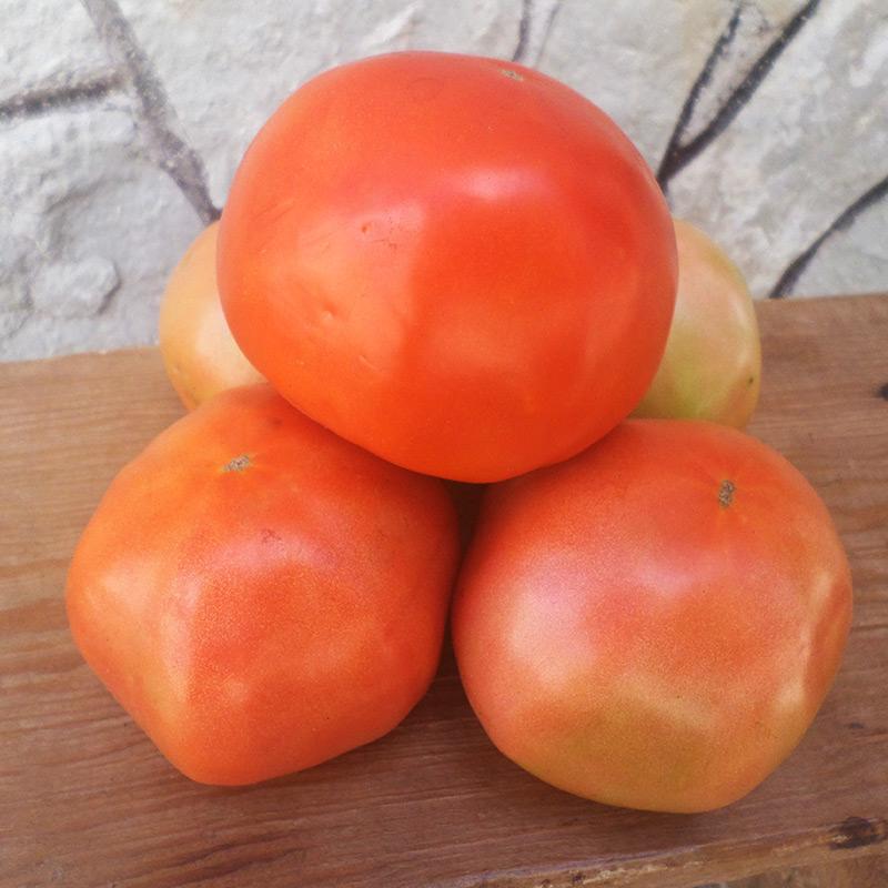 Tomate (1 lb)