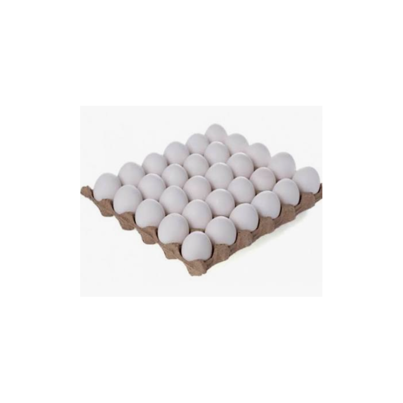 Huevos (30 U) :