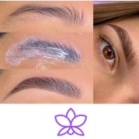 Diseños de Cejas y Pestañas 