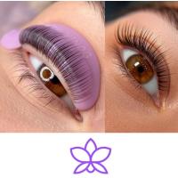 Diseños de Cejas y Pestañas 