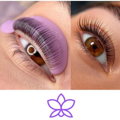 Diseños de Cejas y Pestañas 