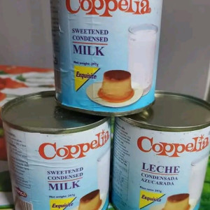 Leche Condensada (397g)