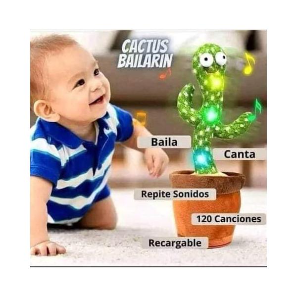 Cactus Bailarin 