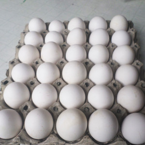 Huevos (30 unidades)