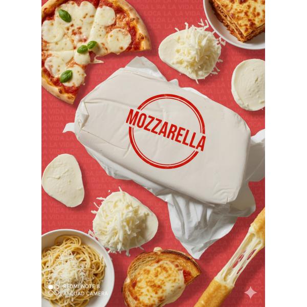 Queso Mozzarella (kg)