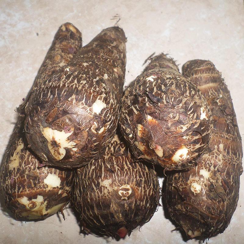 Malanga (1 lb)